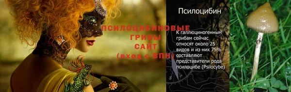 шишки Белокуриха