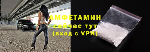 шишки Белокуриха