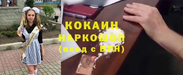 шишки Белокуриха