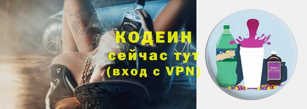 шишки Белокуриха