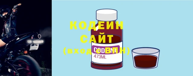 шишки Белокуриха