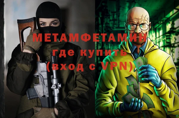 шишки Белокуриха