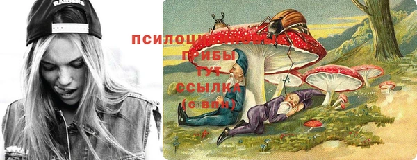 шишки Белокуриха