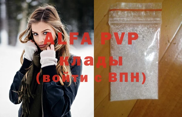 шишки Белокуриха