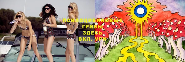 прущие грибы Белоозёрский