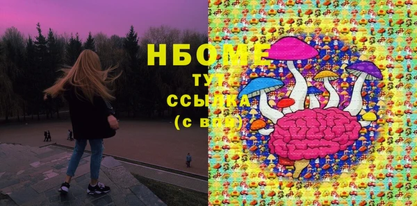 шишки Белокуриха