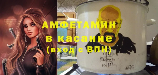 шишки Белокуриха
