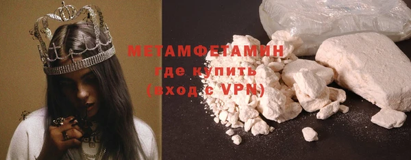 шишки Белокуриха
