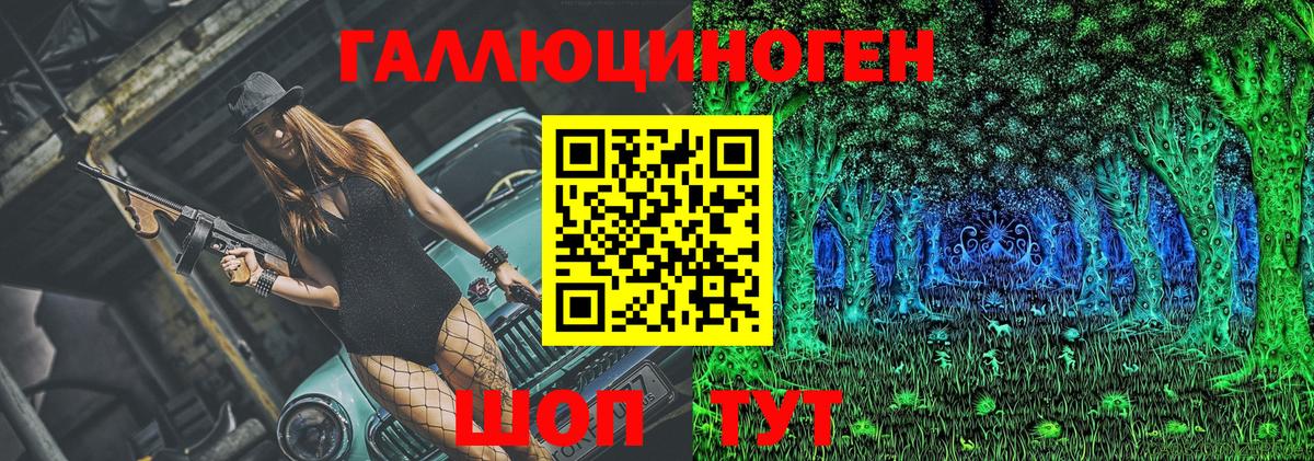 как найти   Бугульма  Галлюциногенные грибы Cubensis 