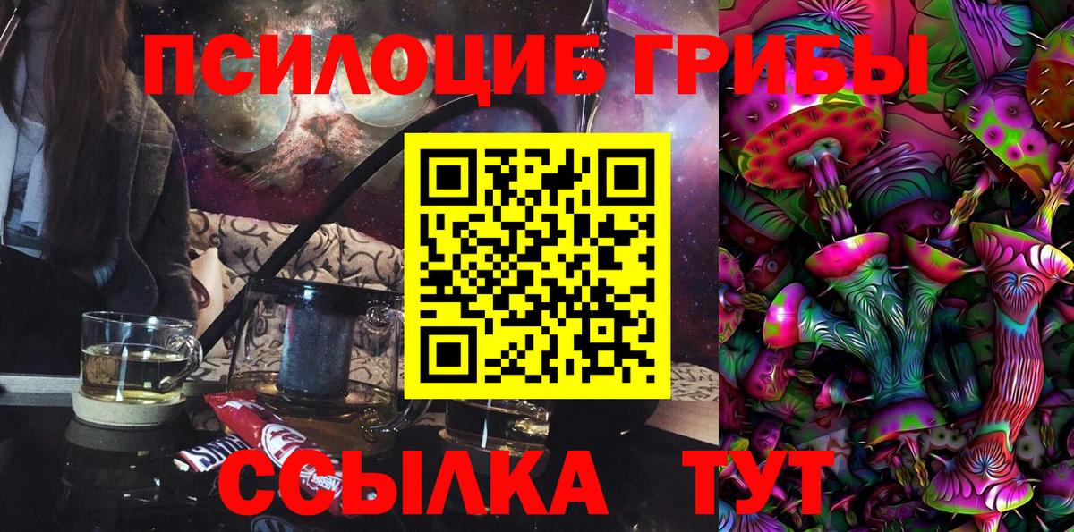 Галлюциногенные грибы Psilocybe Бугульма