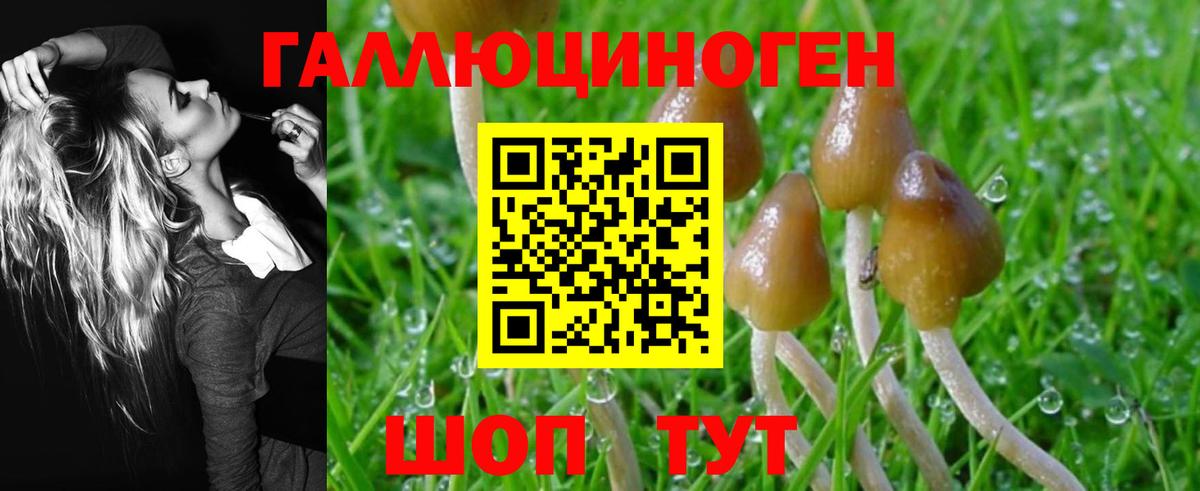 Псилоцибиновые грибы Psilocybe Бугульма